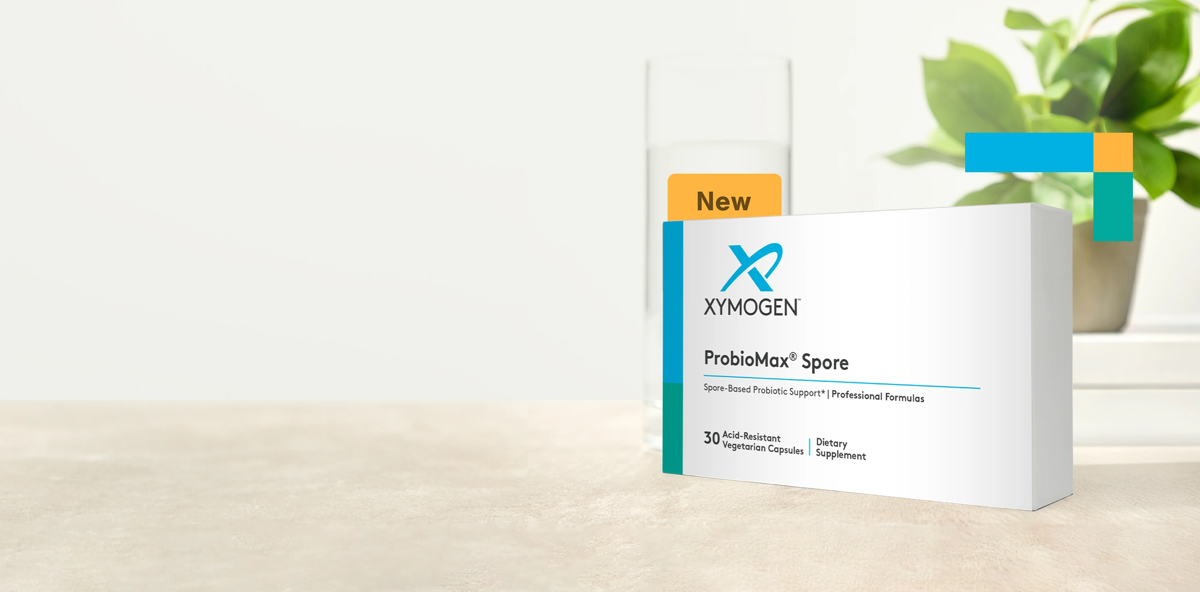 New! ProbioMax Spore by XYMOGEN